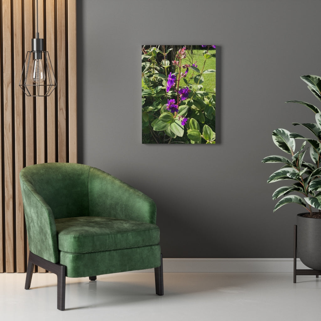 Violet Flower Blooming - Stretched Canvas