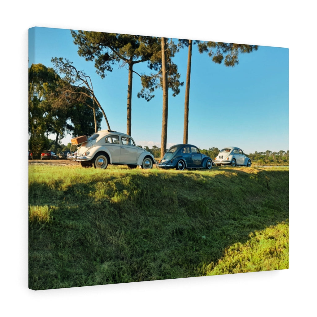 The beetles VW - Canvas Print