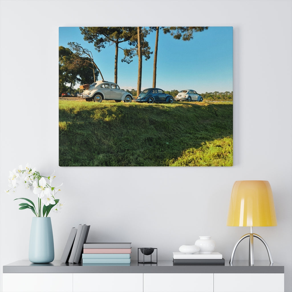 The beetles VW - Canvas Print