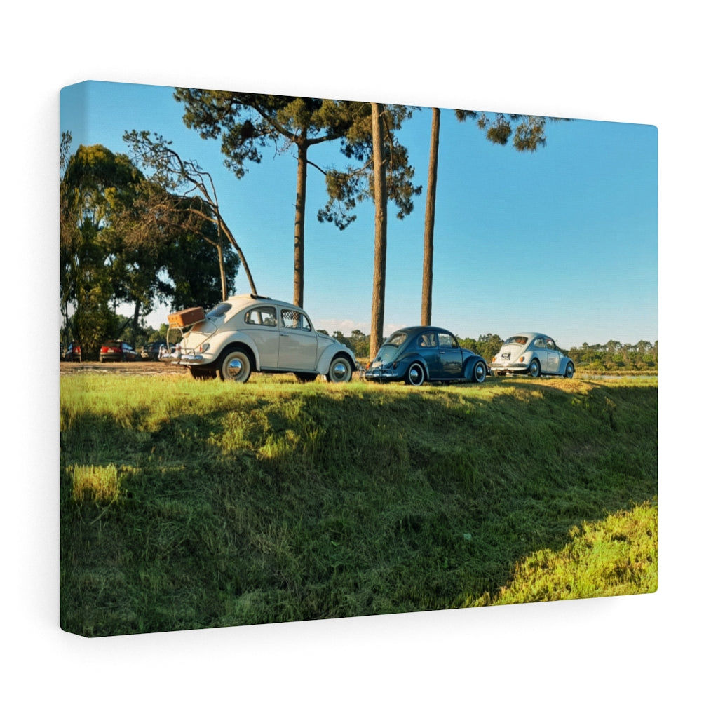 The beetles VW - Canvas Print