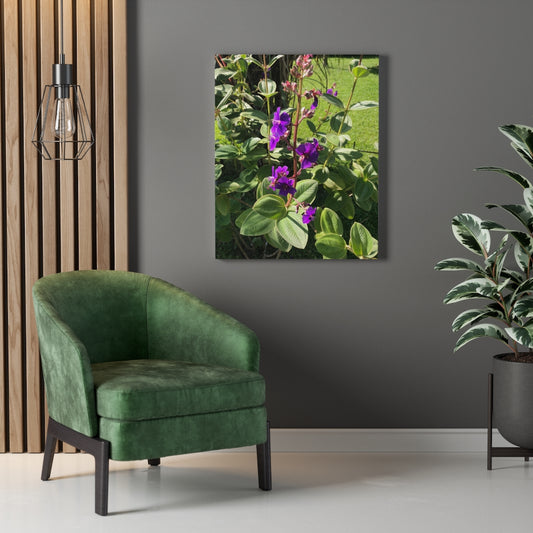 Violet Flower Blooming - Stretched Canvas