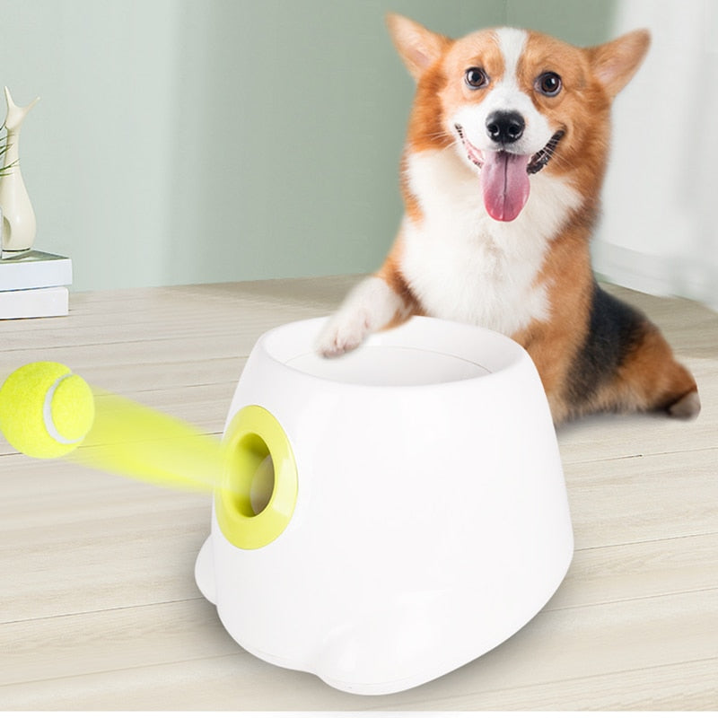 Ball Automatic Tennis Ball Launcher - Pet Toy