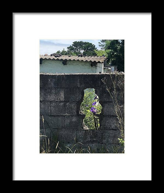 Blooom wherever you are planted - Framed Print