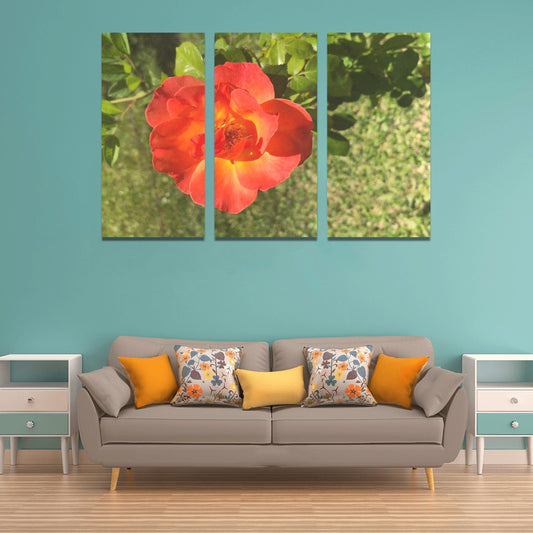 Roses are Pink - Wall Art