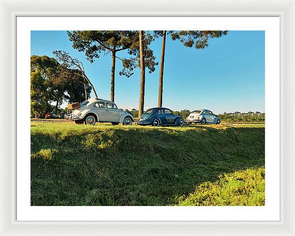 The VW beetles - Framed Print