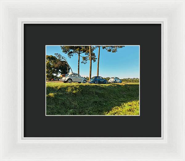 The VW beetles - Framed Print