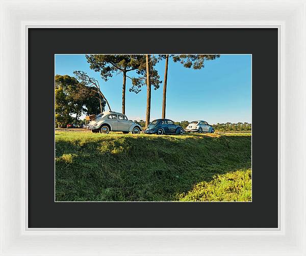 The VW beetles - Framed Print