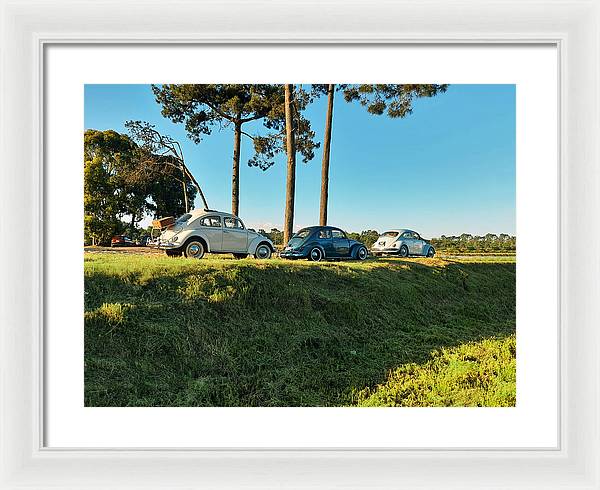 The VW beetles - Framed Print