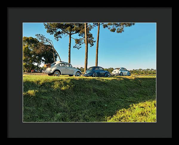 The VW beetles - Framed Print