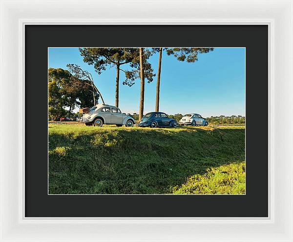 The VW beetles - Framed Print