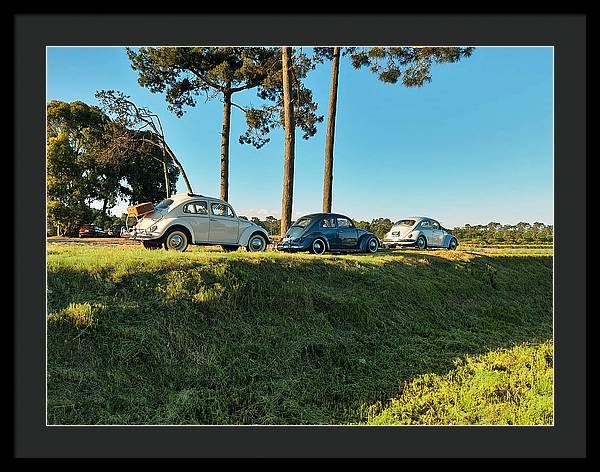 The VW beetles - Framed Print