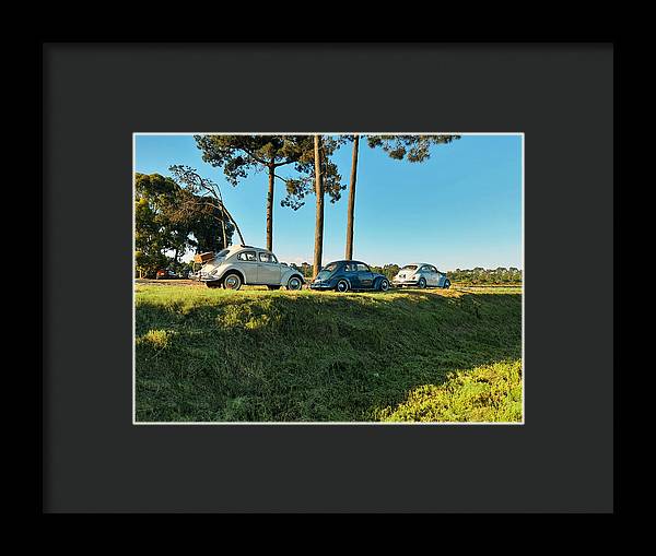 The VW beetles - Framed Print