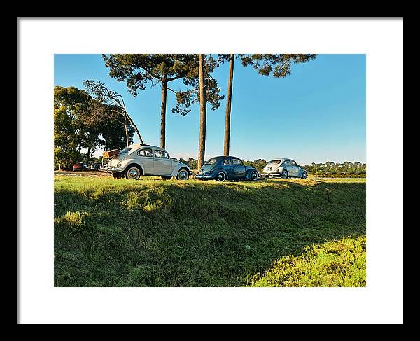 The VW beetles - Framed Print