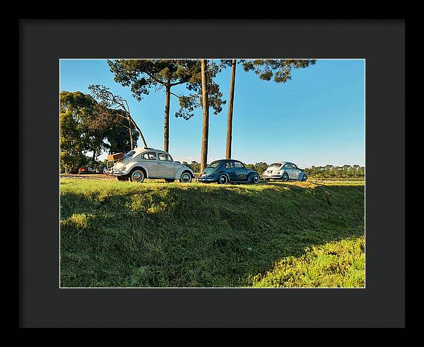 The VW beetles - Framed Print