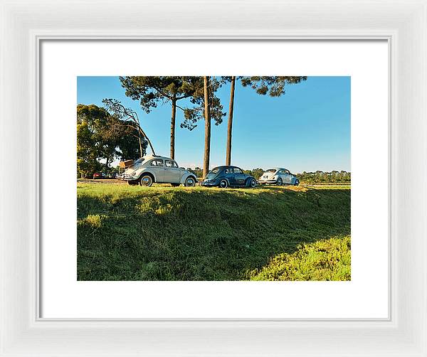 The VW beetles - Framed Print