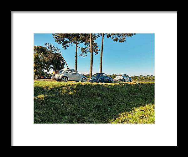 The VW beetles - Framed Print