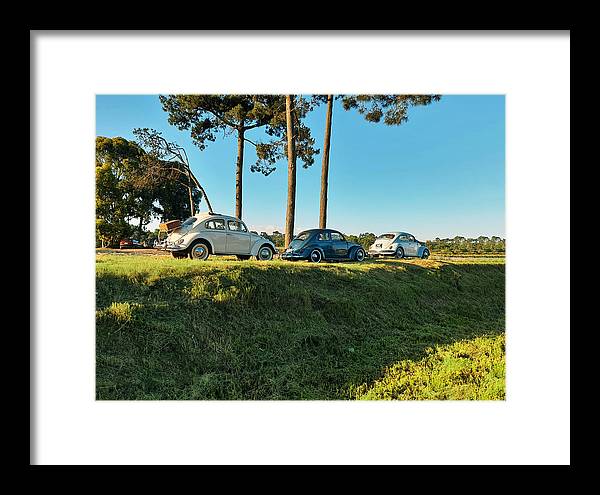 The VW beetles - Framed Print