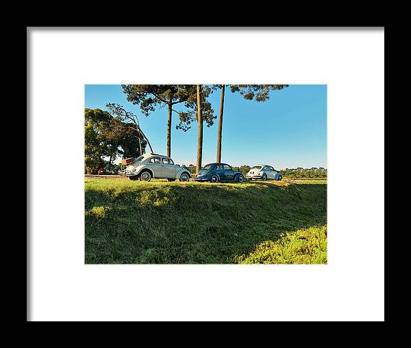 The VW beetles - Framed Print