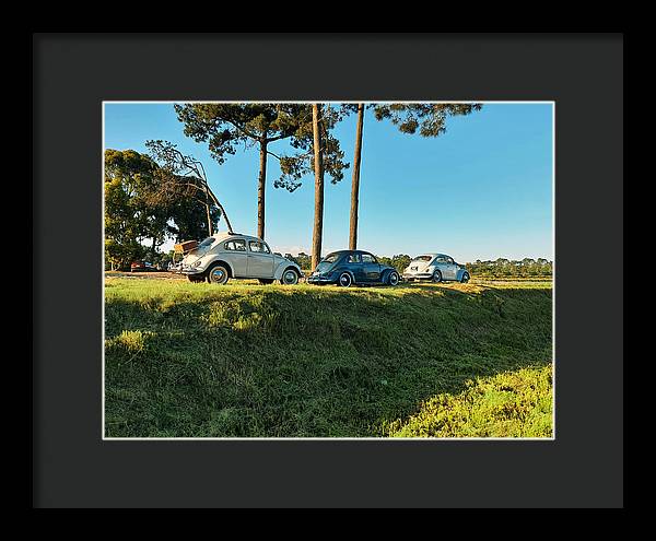 The VW beetles - Framed Print