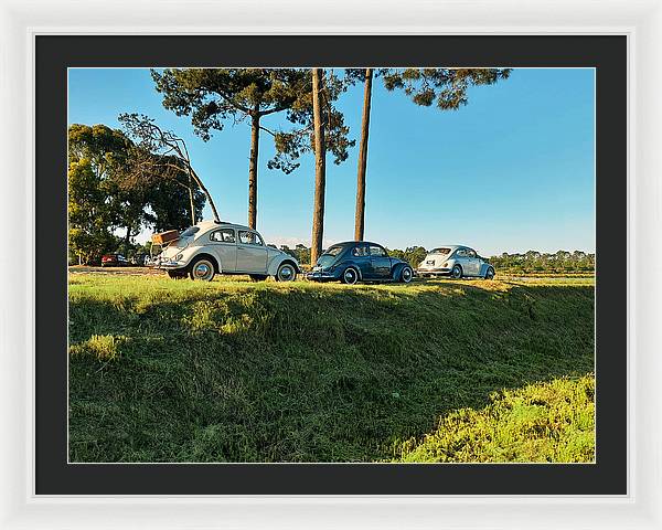 The VW beetles - Framed Print