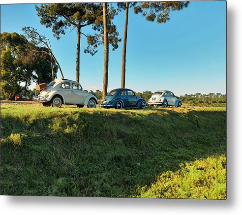 The VW beetles - Metal Print