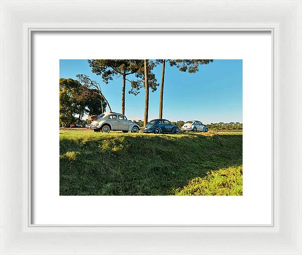 The VW beetles - Framed Print