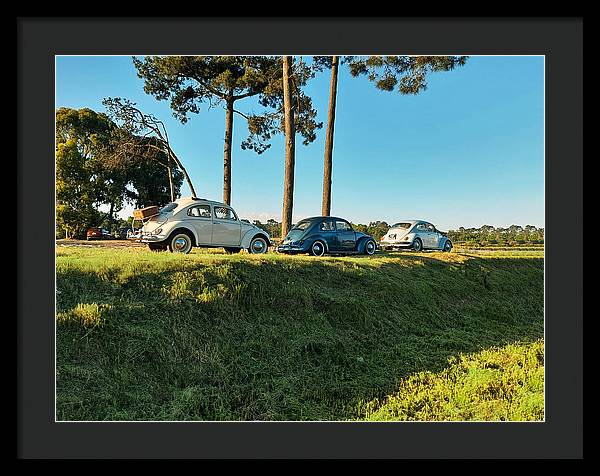 The VW beetles - Framed Print