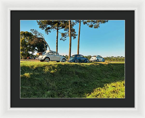 The VW beetles - Framed Print