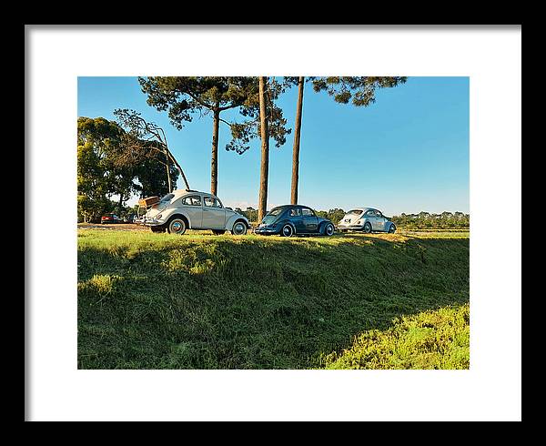 The VW beetles - Framed Print