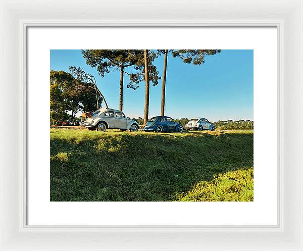 The VW beetles - Framed Print