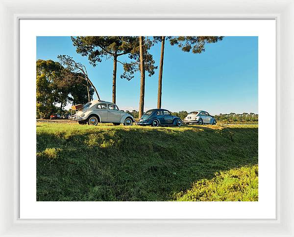 The VW beetles - Framed Print