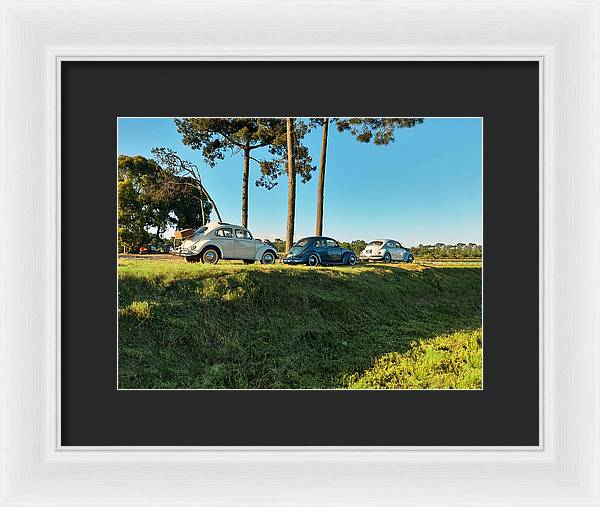 The VW beetles - Framed Print