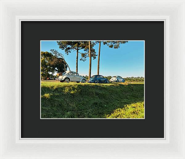 The VW beetles - Framed Print