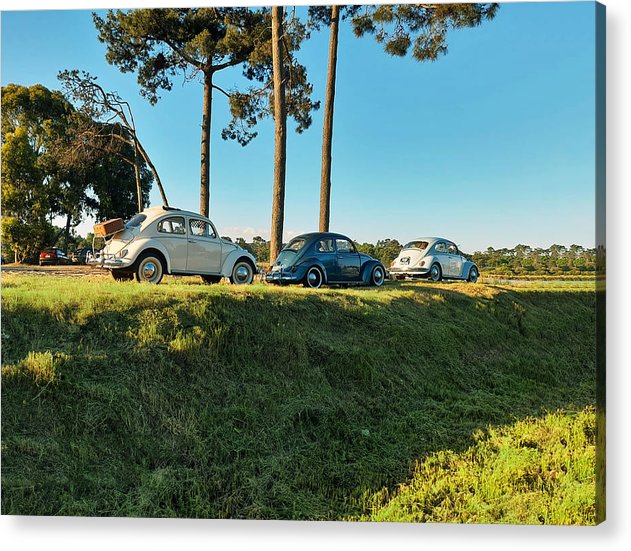 The VW beetles - Acrylic Print