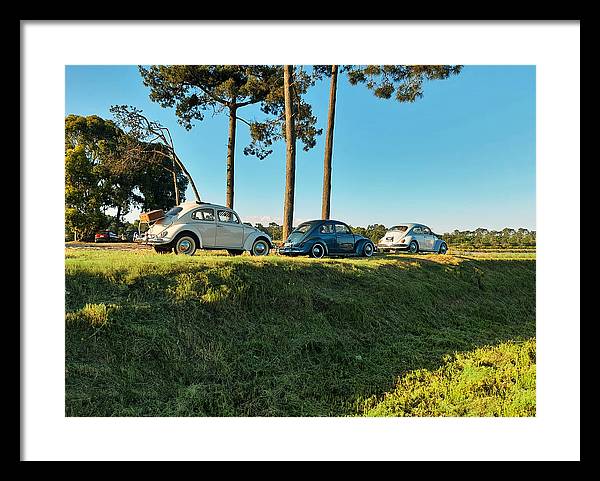 The VW beetles - Framed Print