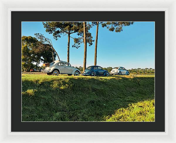 The VW beetles - Framed Print