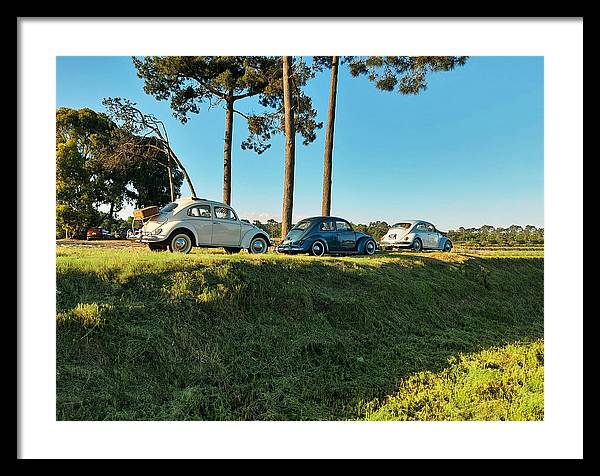 The VW beetles - Framed Print