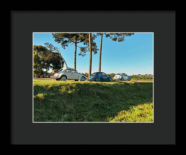 The VW beetles - Framed Print