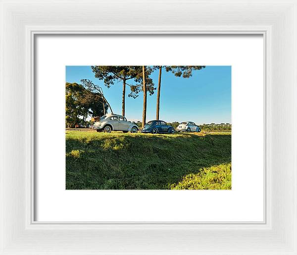 The VW beetles - Framed Print