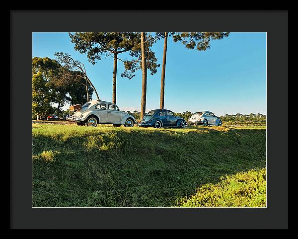 The VW beetles - Framed Print