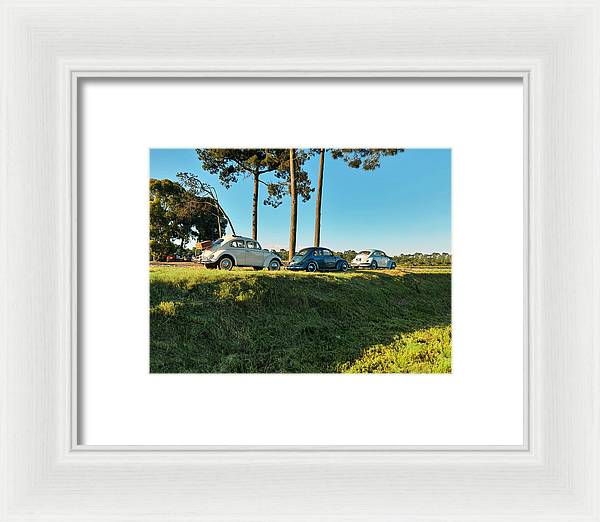 The VW beetles - Framed Print