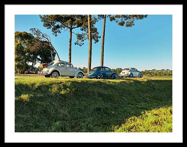 The VW beetles - Framed Print